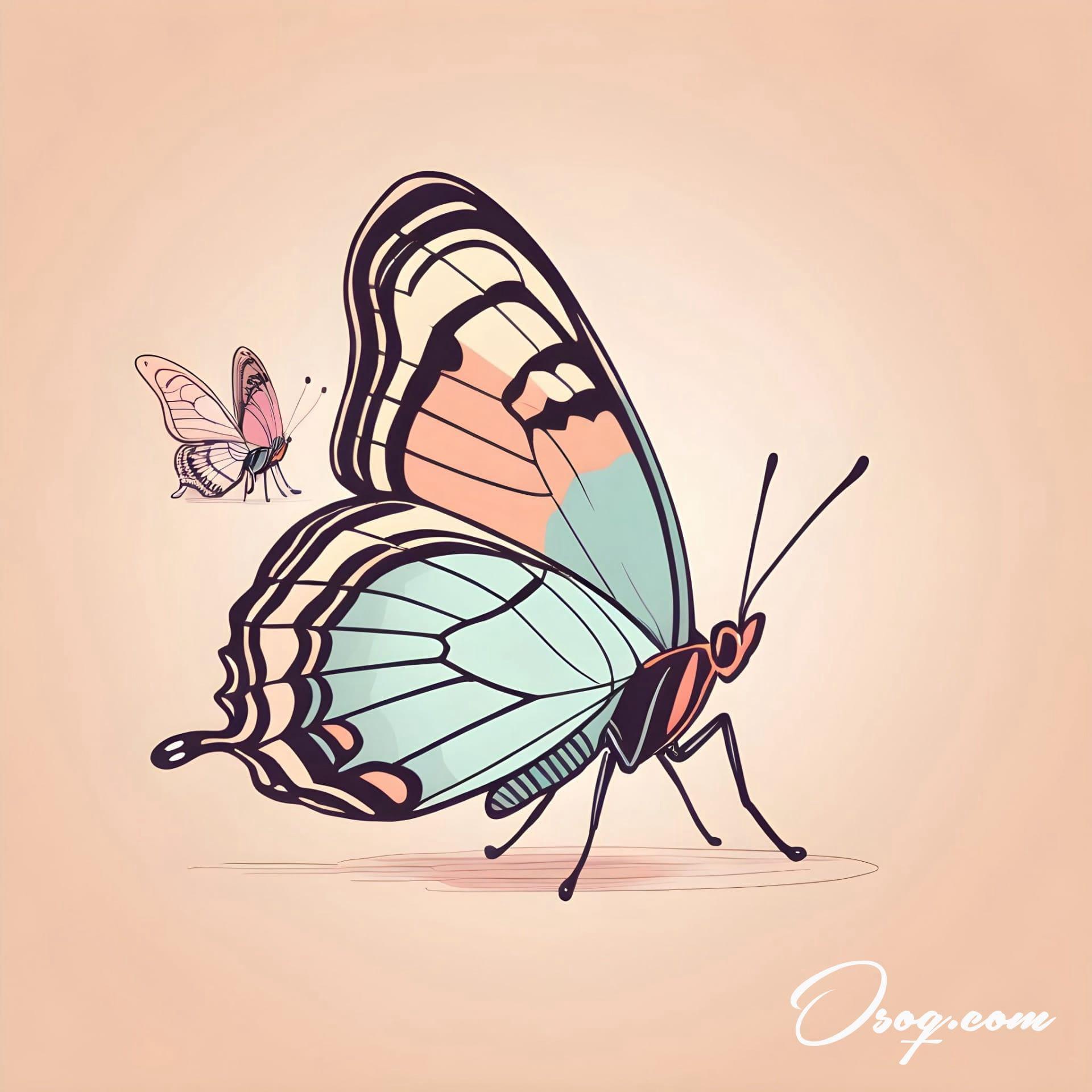 Butterfly Caricature | osoq.com