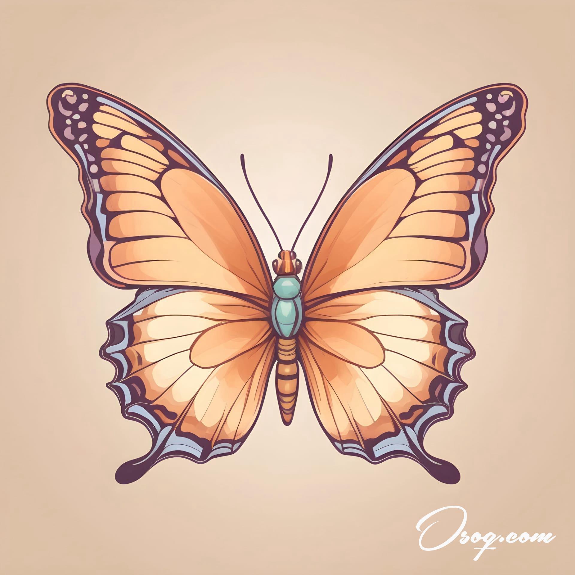 Butterfly Caricature | osoq.com