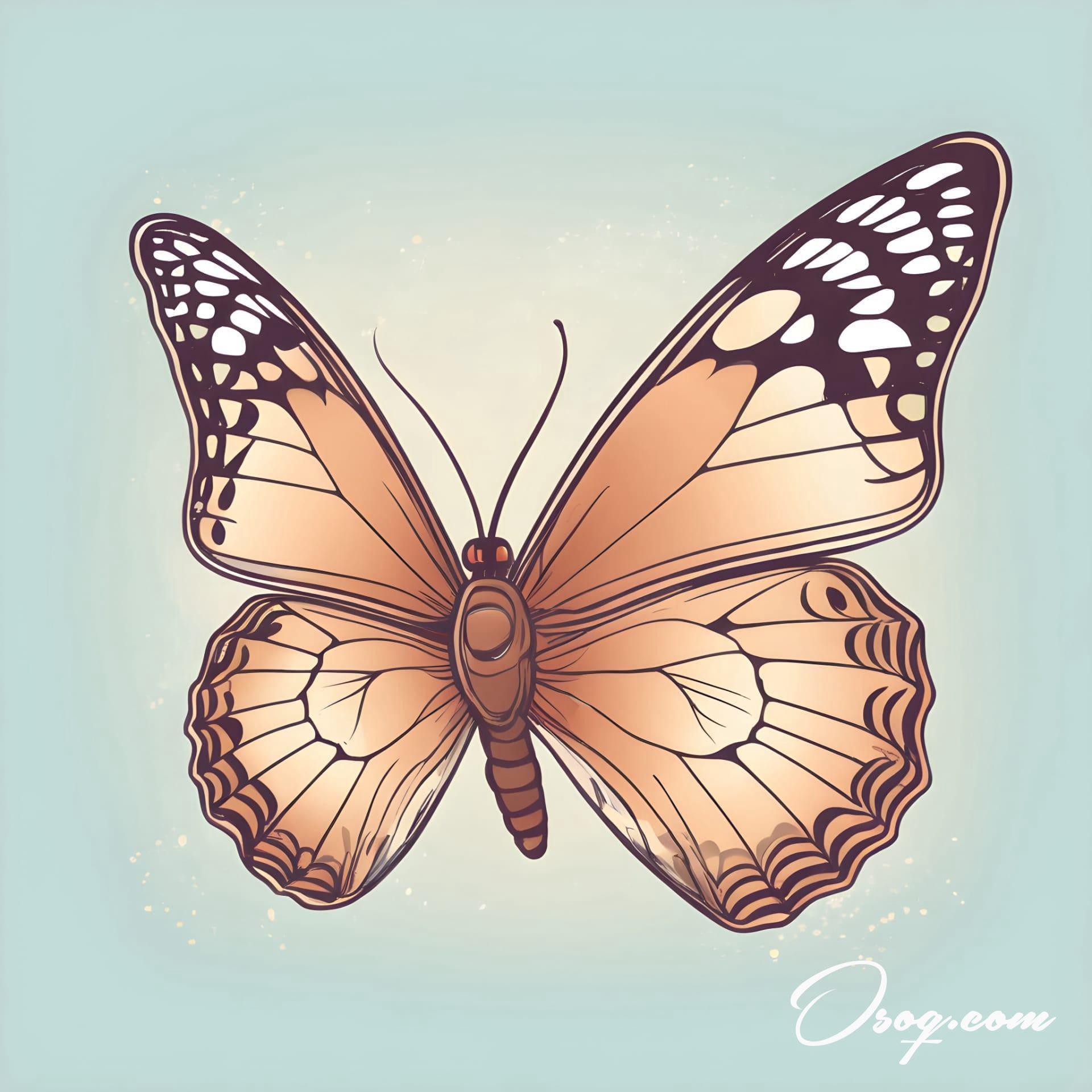 Butterfly Caricature | osoq.com