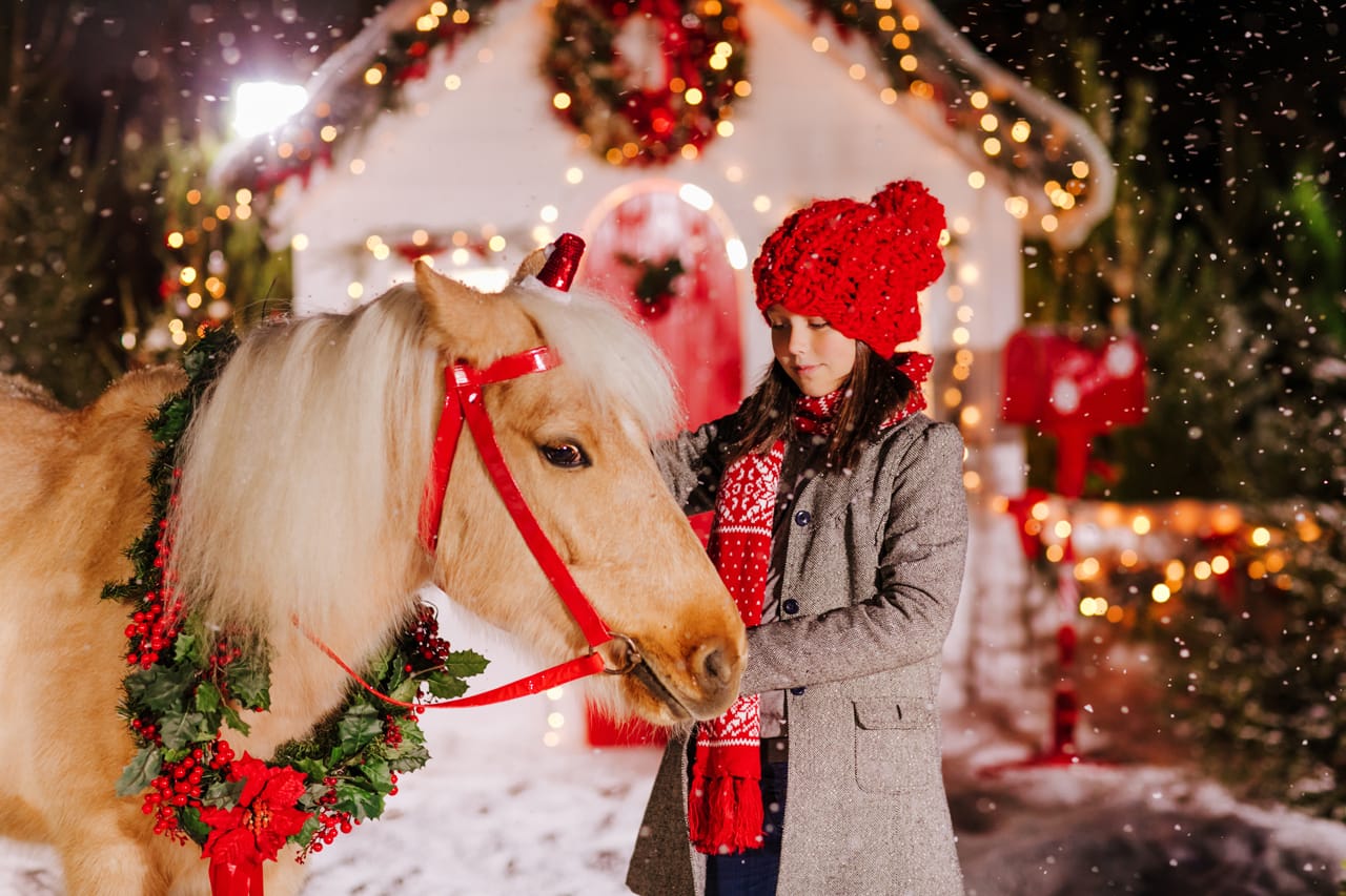 Related image girl red hat strokes red horse christmas wreath background decorated christmas house high quality photo