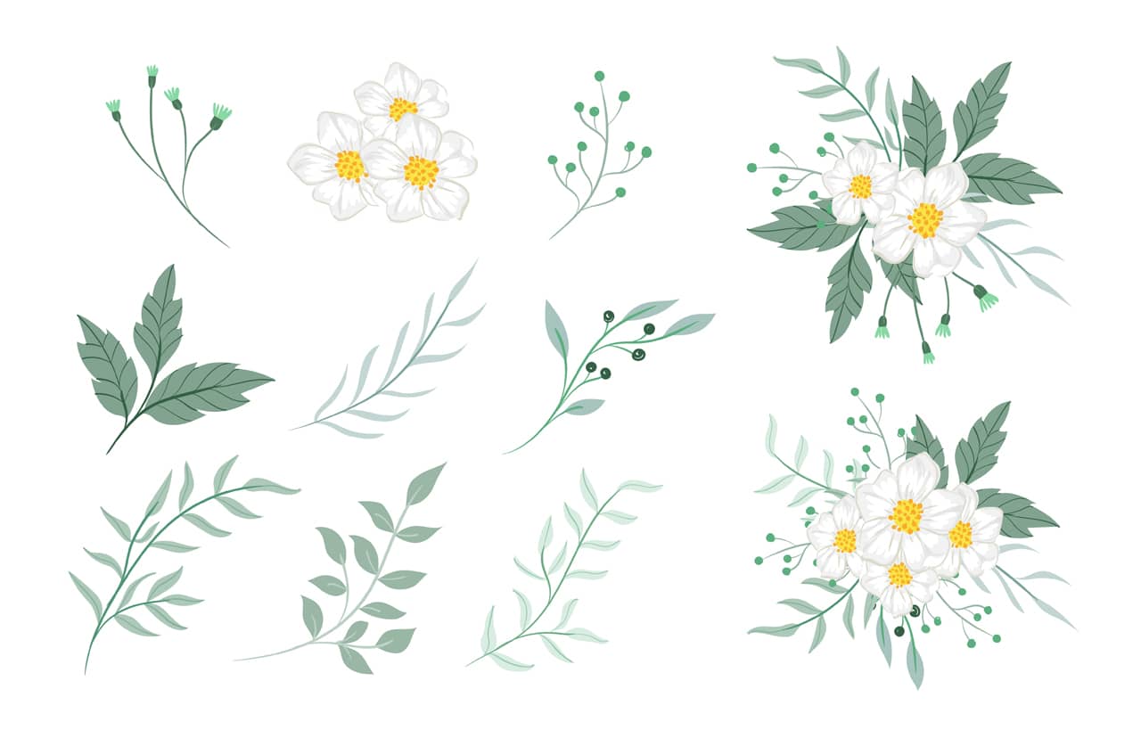 Flower clipart white pastel green flowers arrangement element set