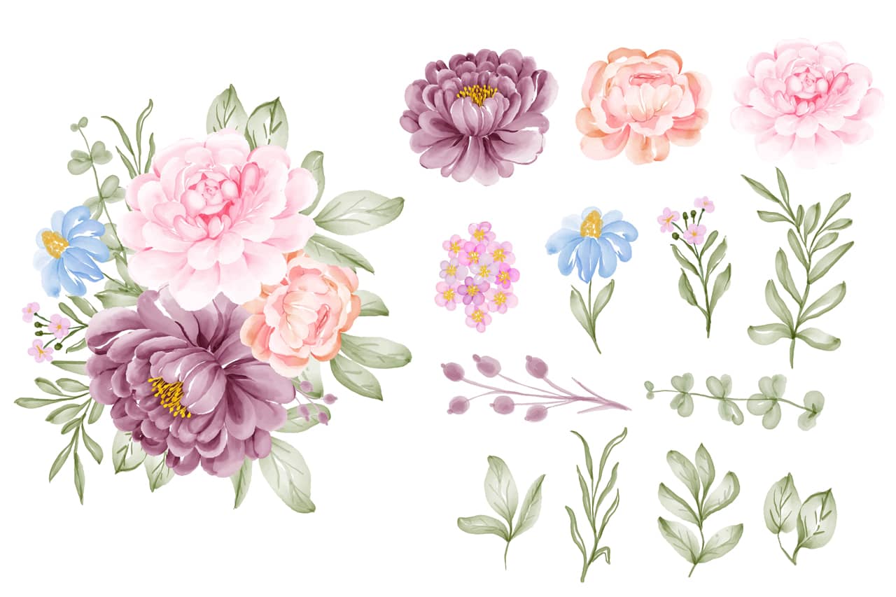 Set flower pink purple leaf isolated clip art cartoon image