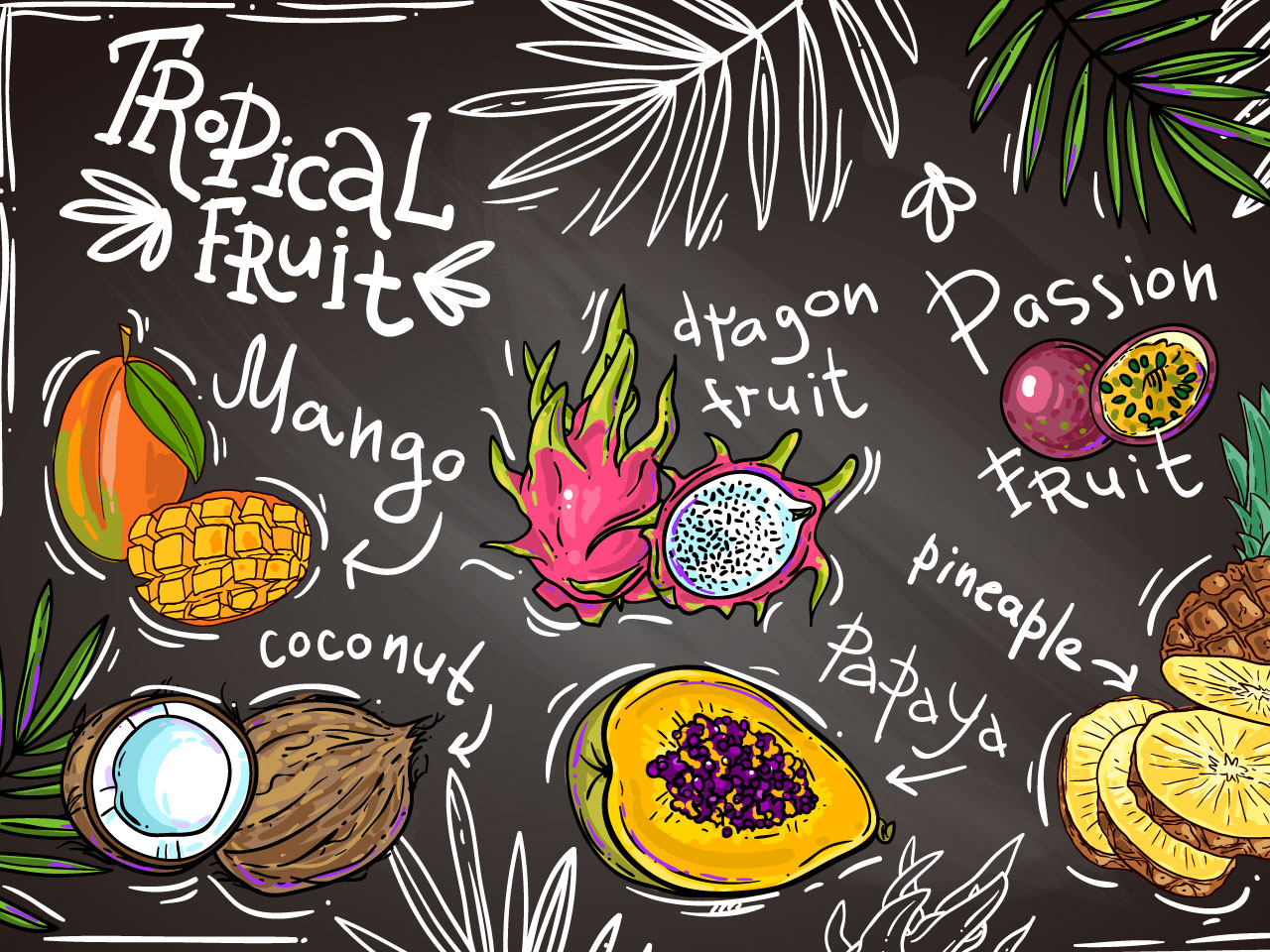 Beautiful hand drawn tropical fruits your design clipart image