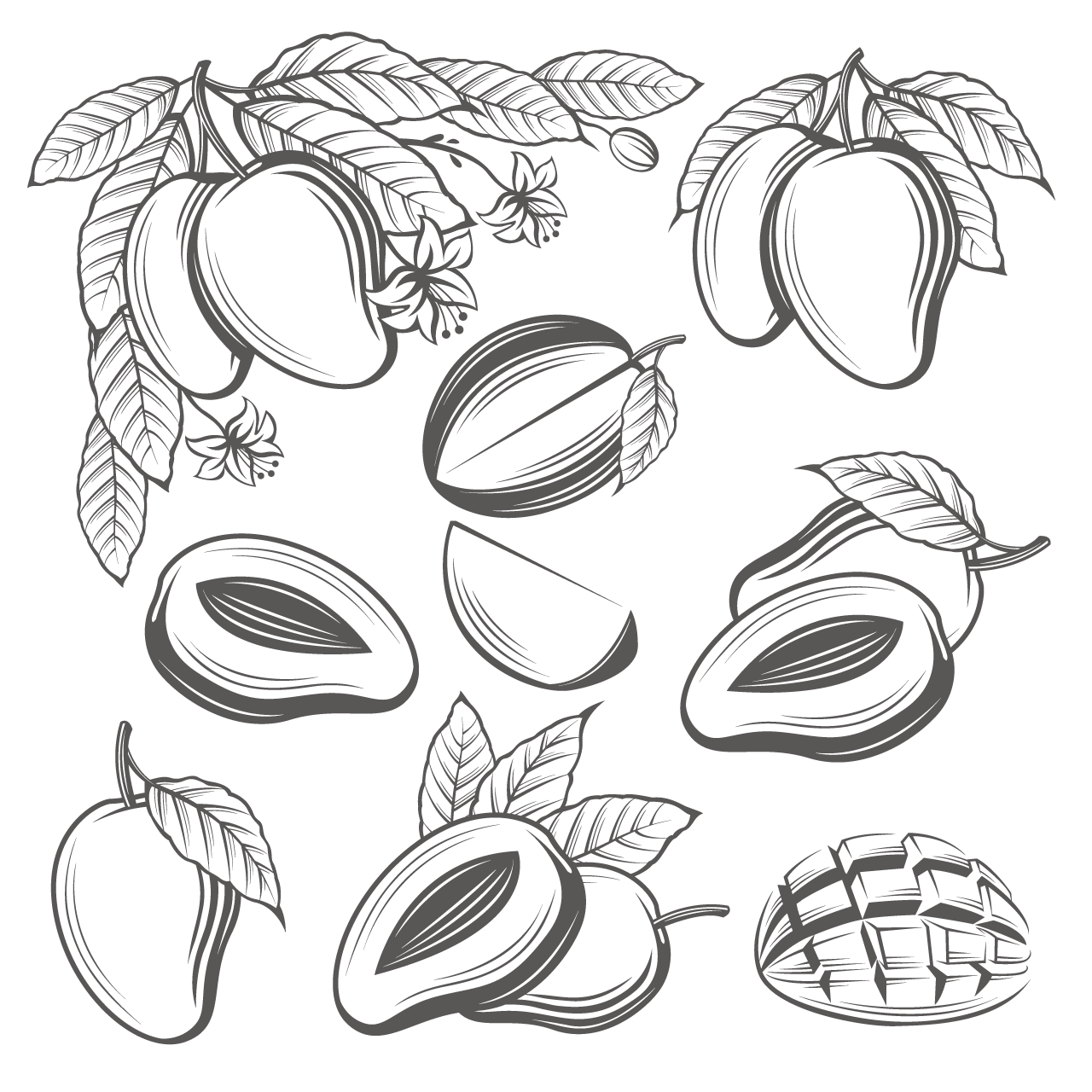 Mango clipart black and white mango fruit set drawings