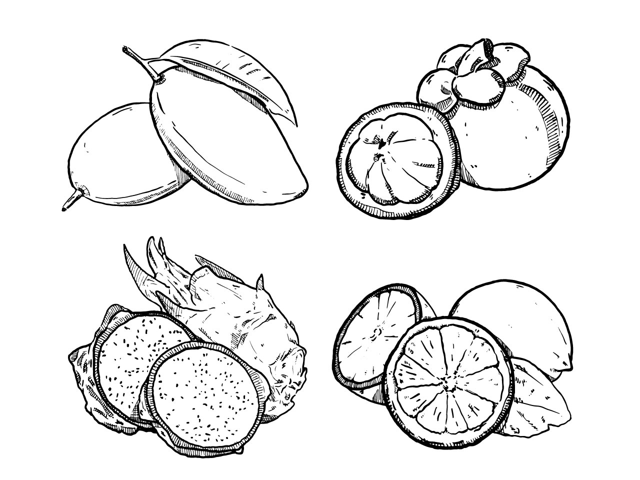 Mango clipart black and white set sketch hand drawn fruit mango mangosteen dragonfruit lemon