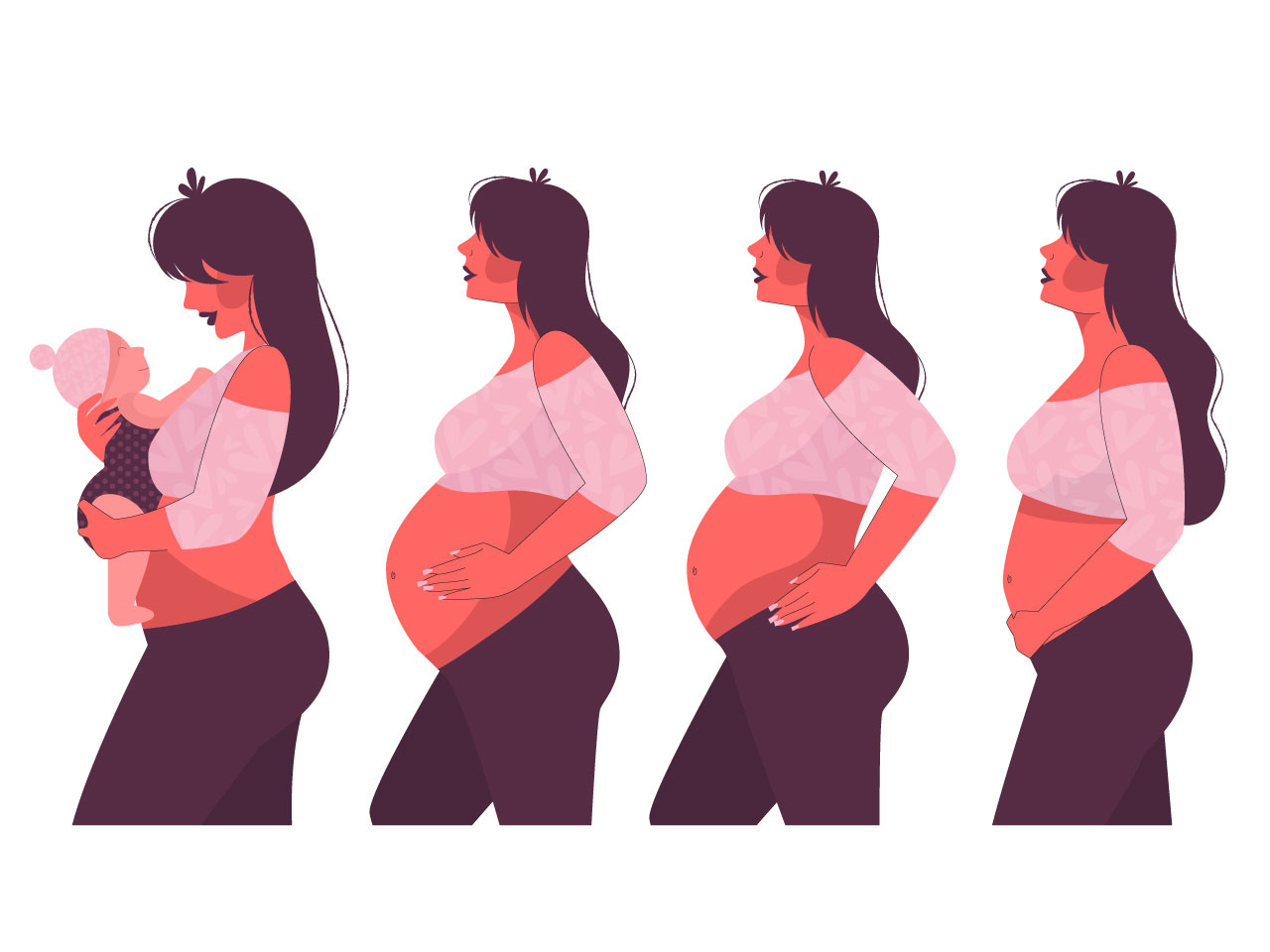Pregnancy stages illustration concept cartoon clipart